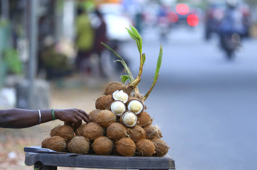 Kerala Kaumudi Photo Gallery