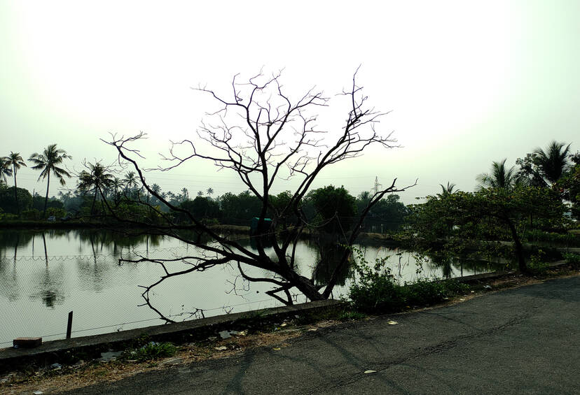Kerala Kaumudi Photo Gallery