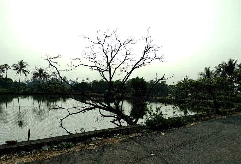 Kerala Kaumudi Photo Gallery