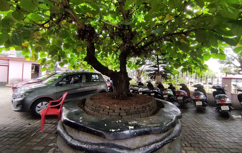 Kerala Kaumudi Photo Gallery