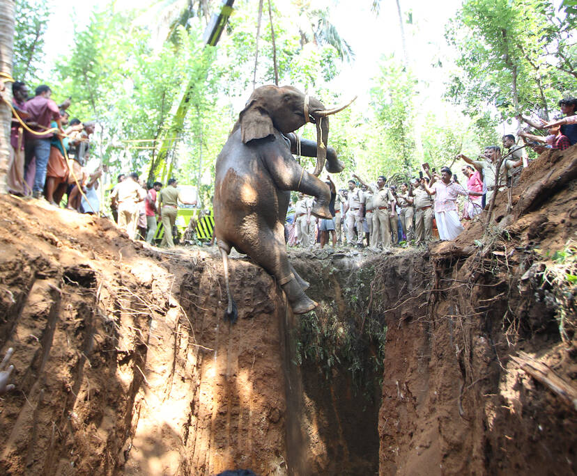Kerala Kaumudi Photo Gallery