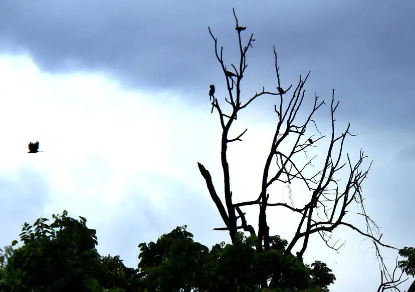Kerala Kaumudi Photo Gallery