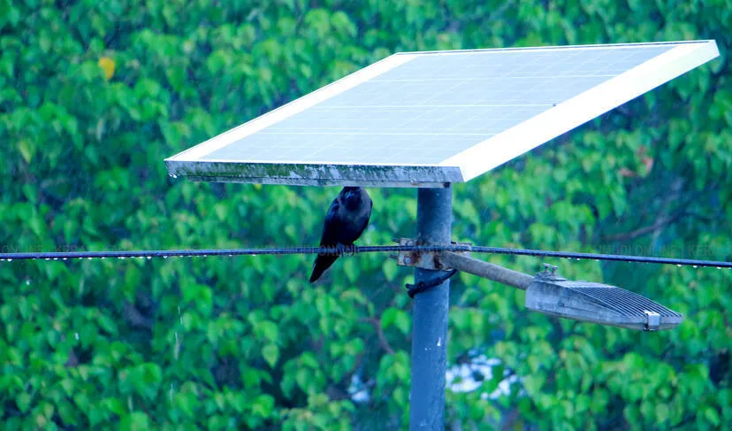 Kerala Kaumudi Photo Gallery