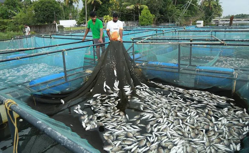 Kerala Kaumudi Photo Gallery