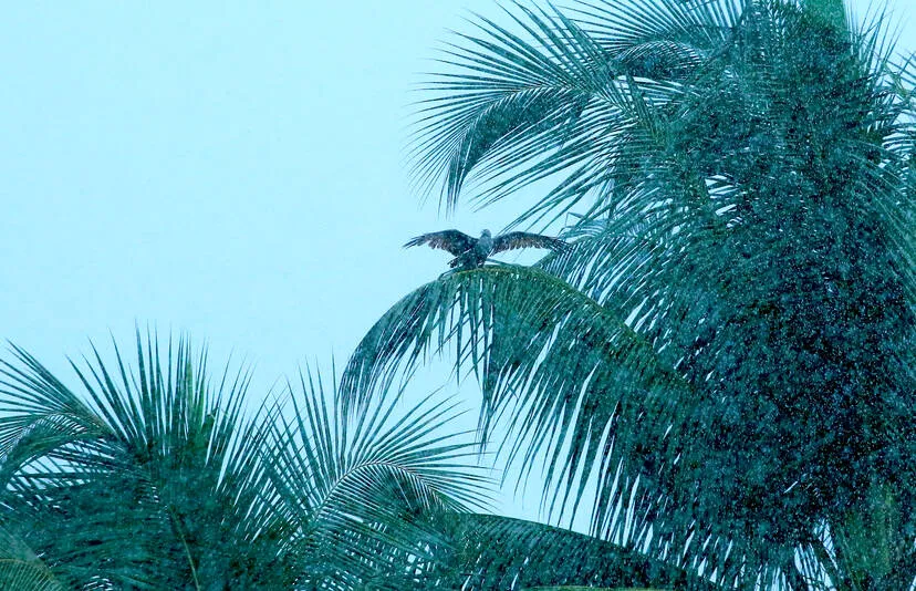 Kerala Kaumudi Photo Gallery