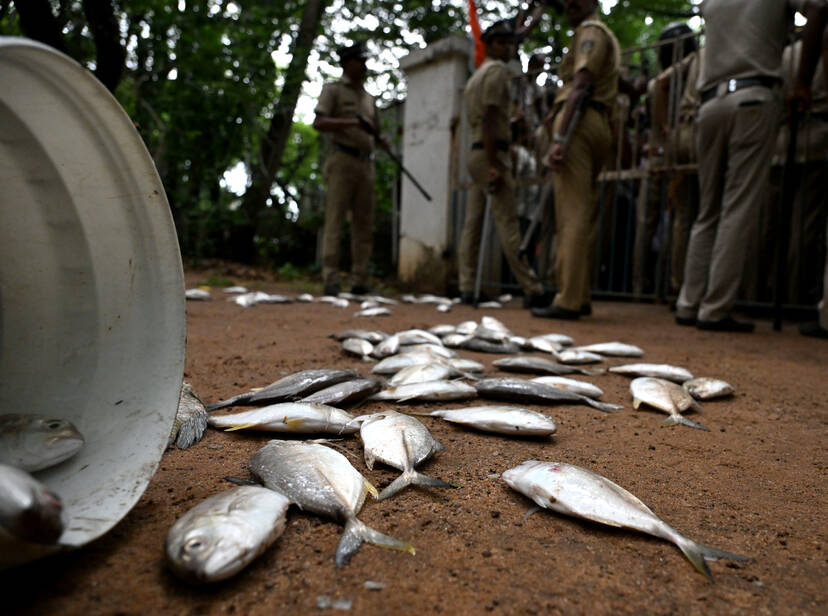 Kerala Kaumudi Photo Gallery