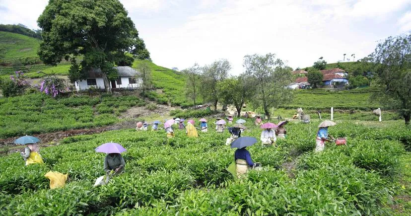 Kerala Kaumudi Photo Gallery
