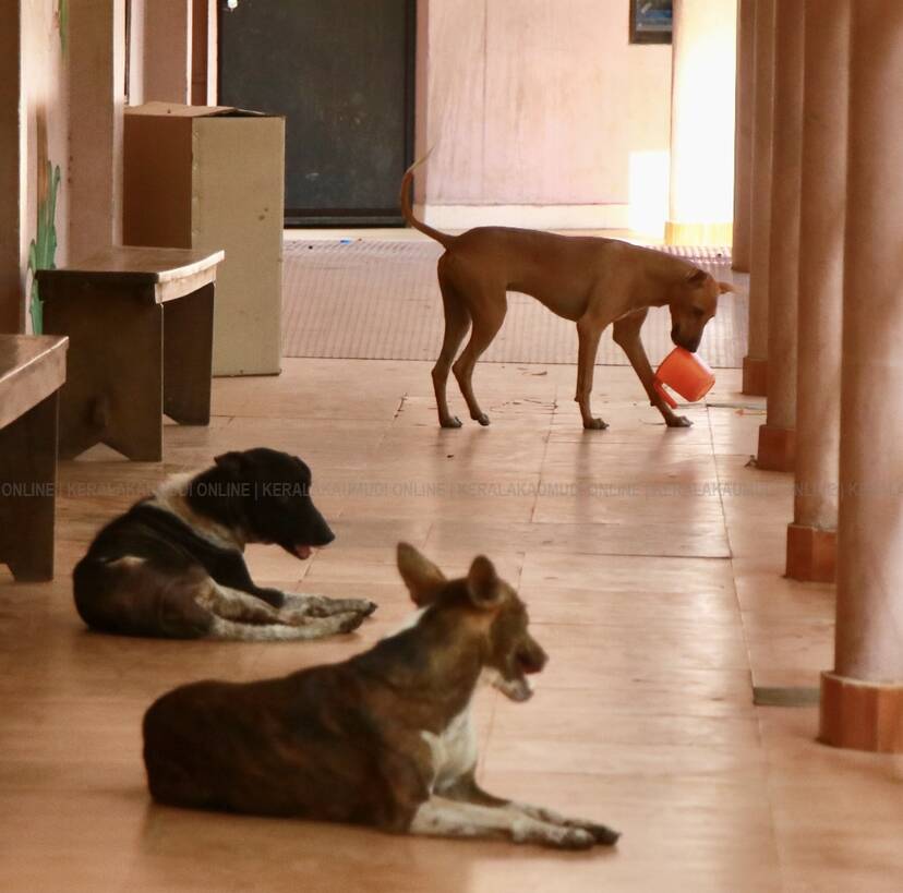 Kerala Kaumudi Photo Gallery