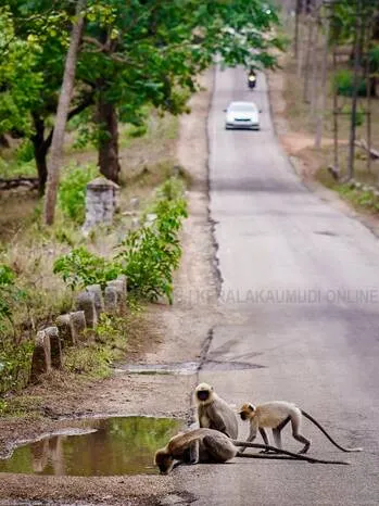 Kerala Kaumudi Photo Gallery
