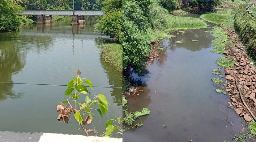 Kerala Kaumudi Photo Gallery