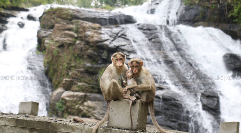 Kerala Kaumudi Photo Gallery