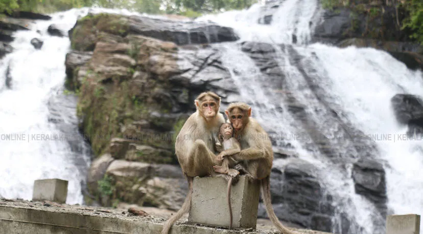 Kerala Kaumudi Photo Gallery