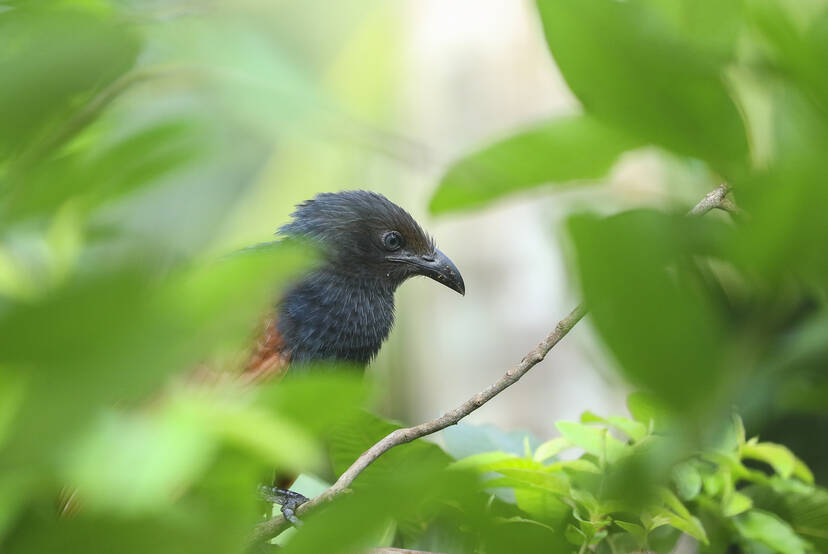 Kerala Kaumudi Photo Gallery
