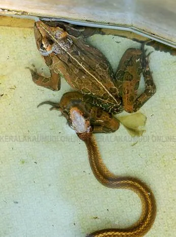 Kerala Kaumudi Photo Gallery