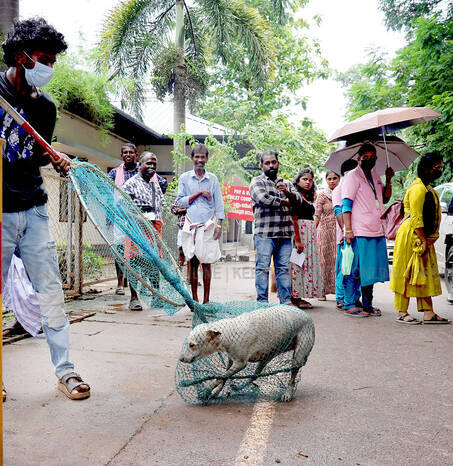 Kerala Kaumudi Photo Gallery