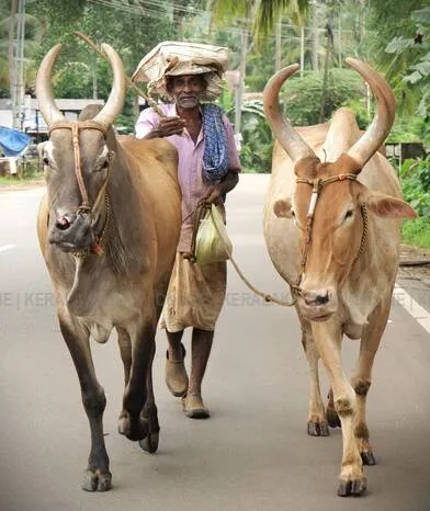 Kerala Kaumudi Photo Gallery