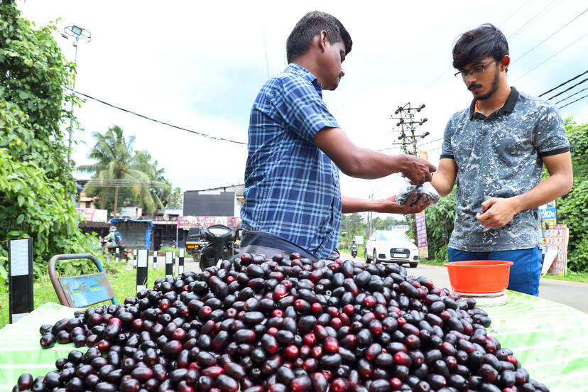 Kerala Kaumudi Photo Gallery