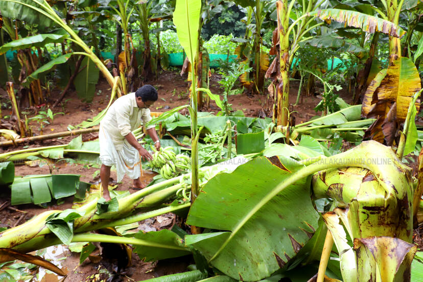 Kerala Kaumudi Photo Gallery