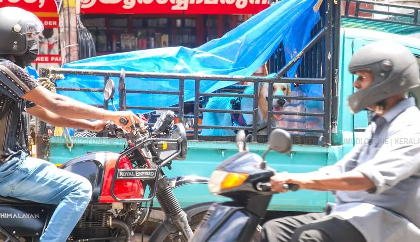Kerala Kaumudi Photo Gallery