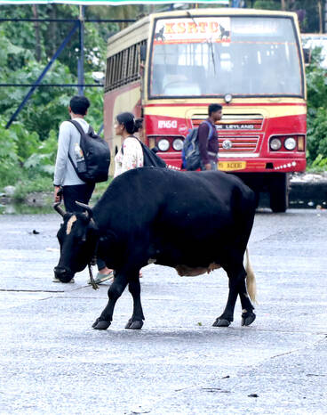 Kerala Kaumudi Photo Gallery