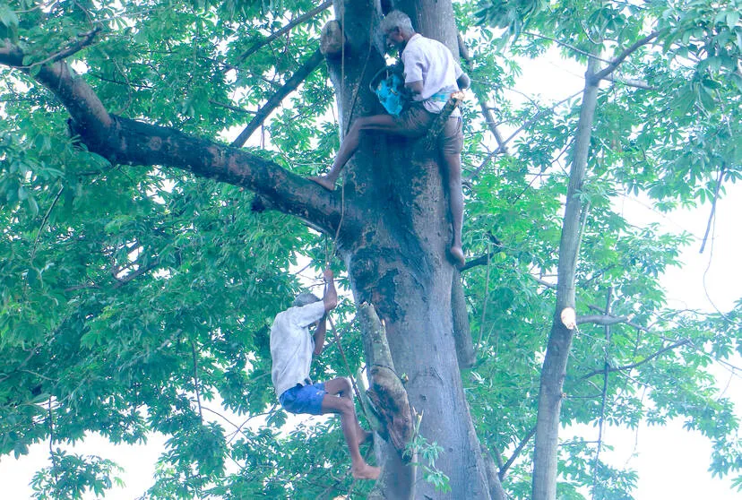Kerala Kaumudi Photo Gallery