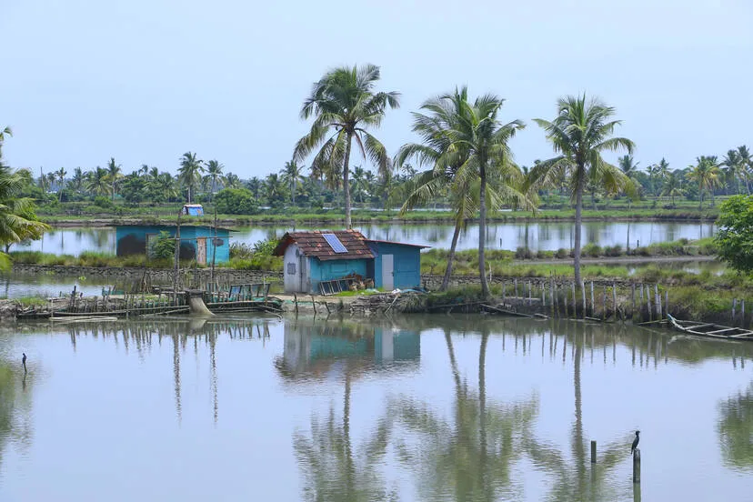 Kerala Kaumudi Photo Gallery