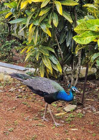 Kerala Kaumudi Photo Gallery