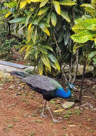 Kerala Kaumudi Photo Gallery