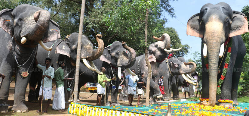 Kerala Kaumudi Photo Gallery