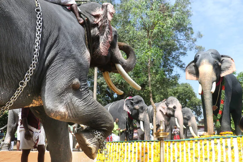 Kerala Kaumudi Photo Gallery