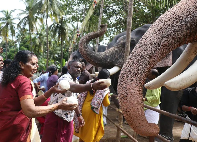 Kerala Kaumudi Photo Gallery