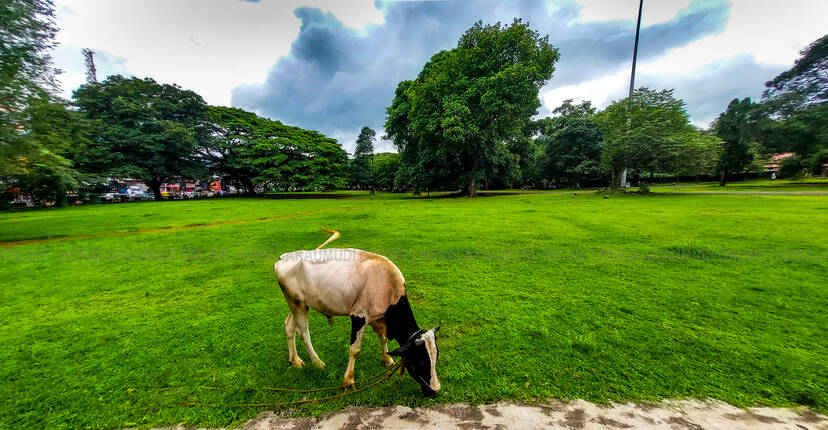 Kerala Kaumudi Photo Gallery