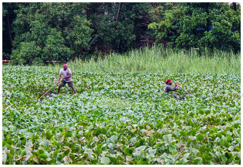 Kerala Kaumudi Photo Gallery