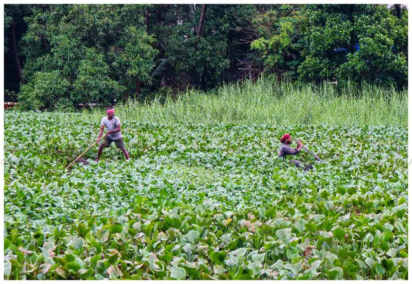Kerala Kaumudi Photo Gallery