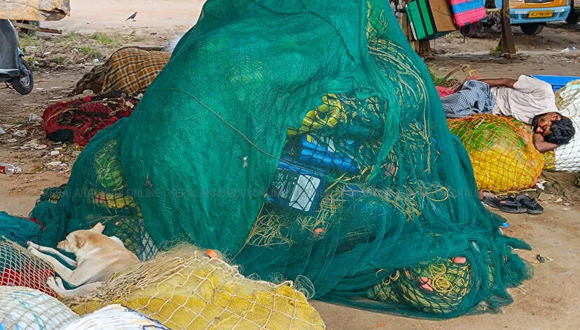 Kerala Kaumudi Photo Gallery