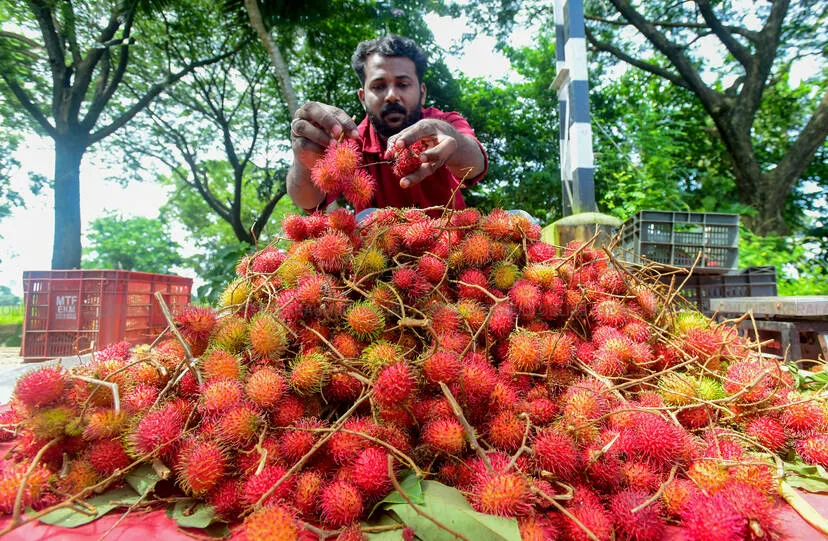 Kerala Kaumudi Photo Gallery