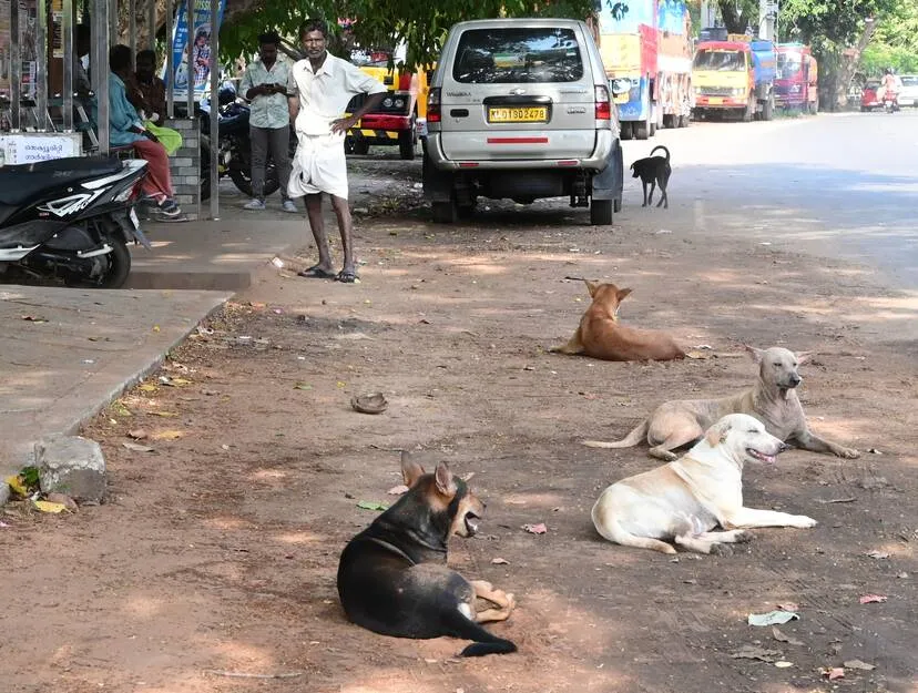 Kerala Kaumudi Photo Gallery
