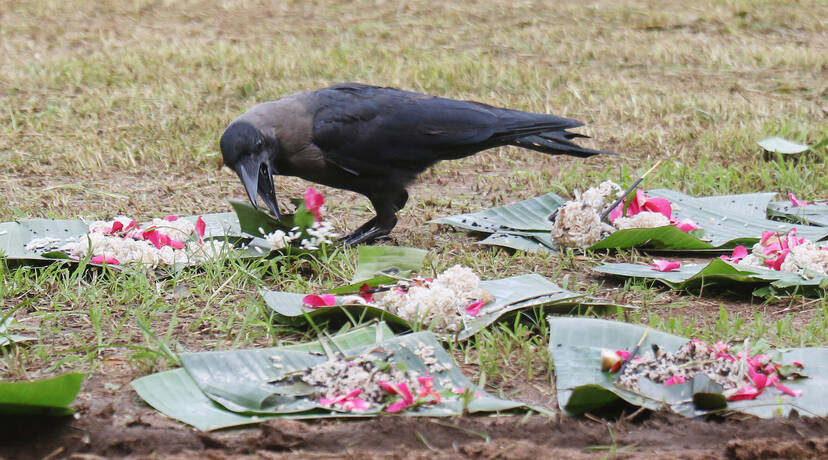 Kerala Kaumudi Photo Gallery