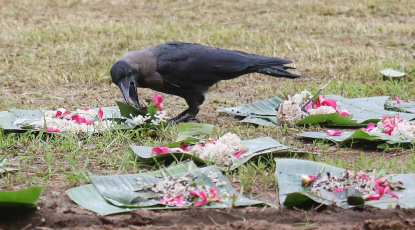 Kerala Kaumudi Photo Gallery