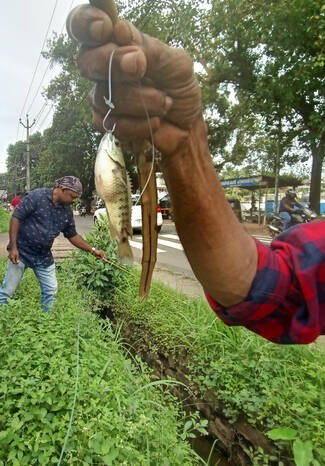 Kerala Kaumudi Photo Gallery