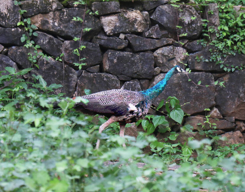 Kerala Kaumudi Photo Gallery