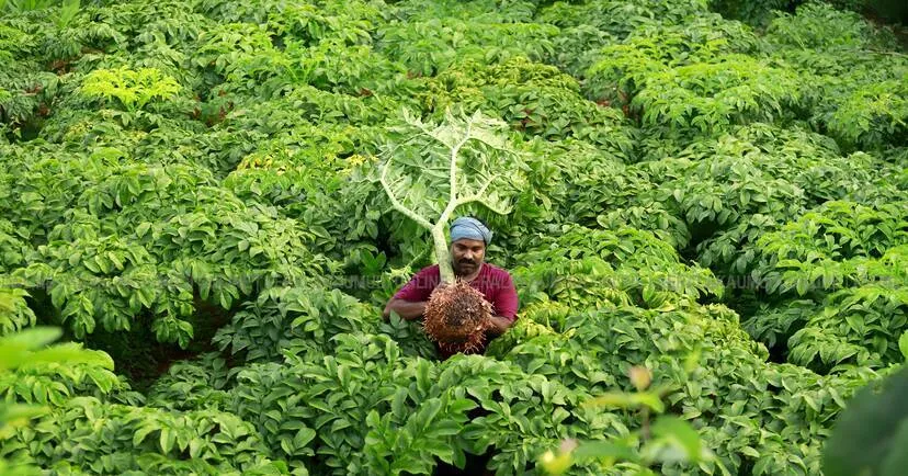 Kerala Kaumudi Photo Gallery