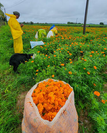 Kerala Kaumudi Photo Gallery