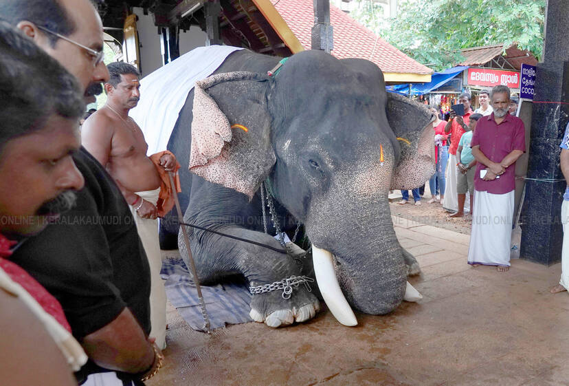 Kerala Kaumudi Photo Gallery