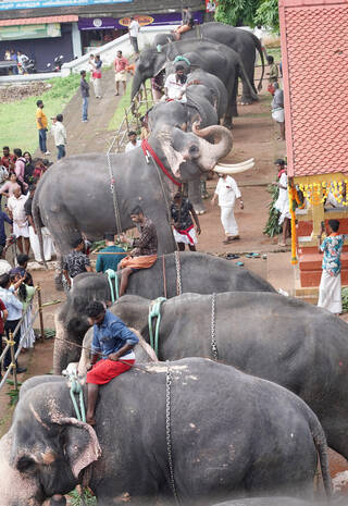 Kerala Kaumudi Photo Gallery