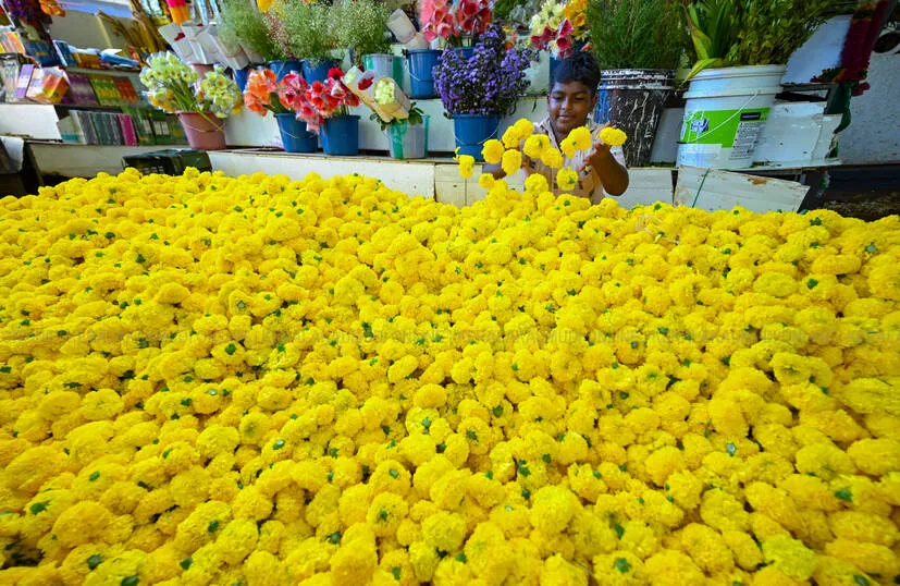 Kerala Kaumudi Photo Gallery