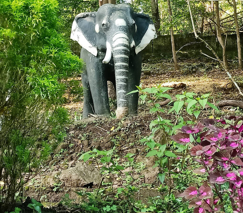 Kerala Kaumudi Photo Gallery