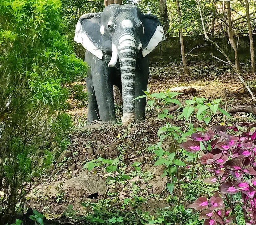 Kerala Kaumudi Photo Gallery