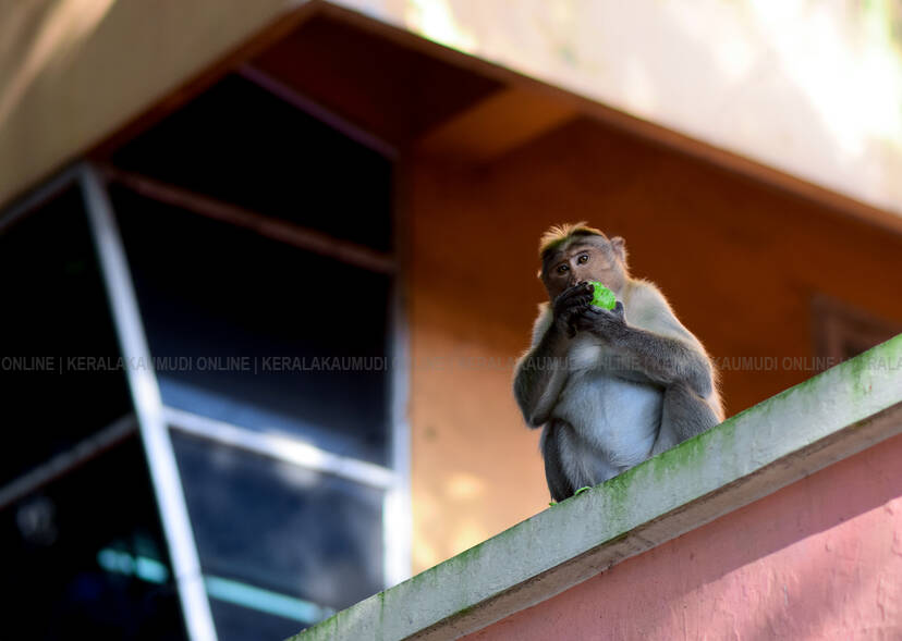 Kerala Kaumudi Photo Gallery