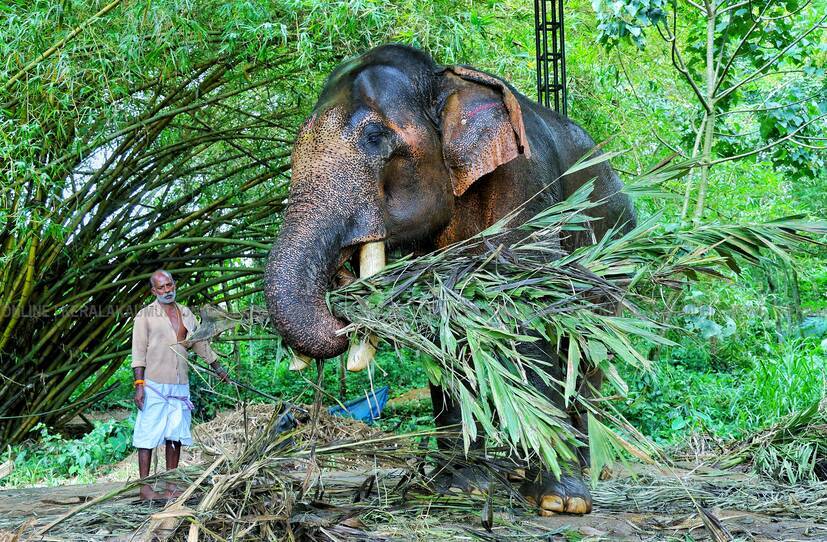 Kerala Kaumudi Photo Gallery